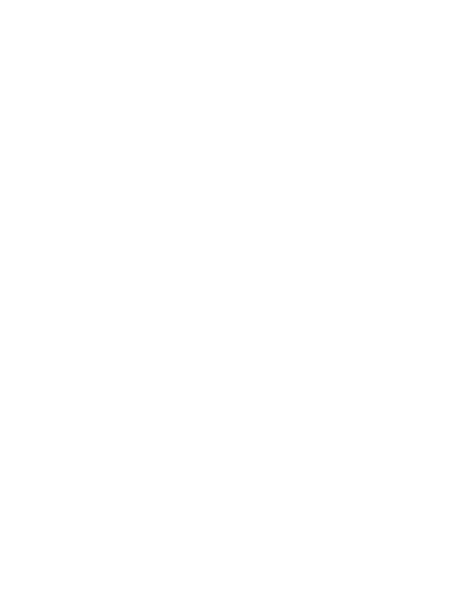 ACE Couriers